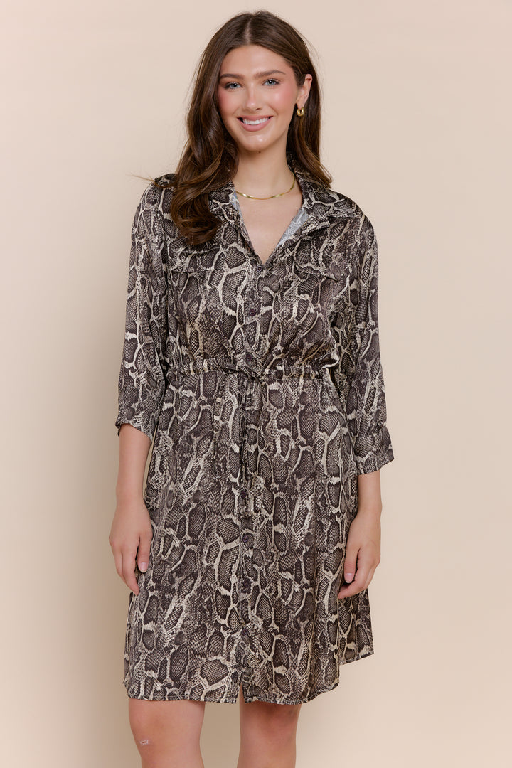 ELIZABETH | Dresses | Dresses, FALL2024, Long Sleeve, NEW ARRIVALS, PRINT, Satin, Short Dresses | shop-sofia